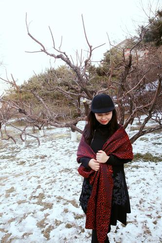 1487743626_IMG_1549_爱奇艺