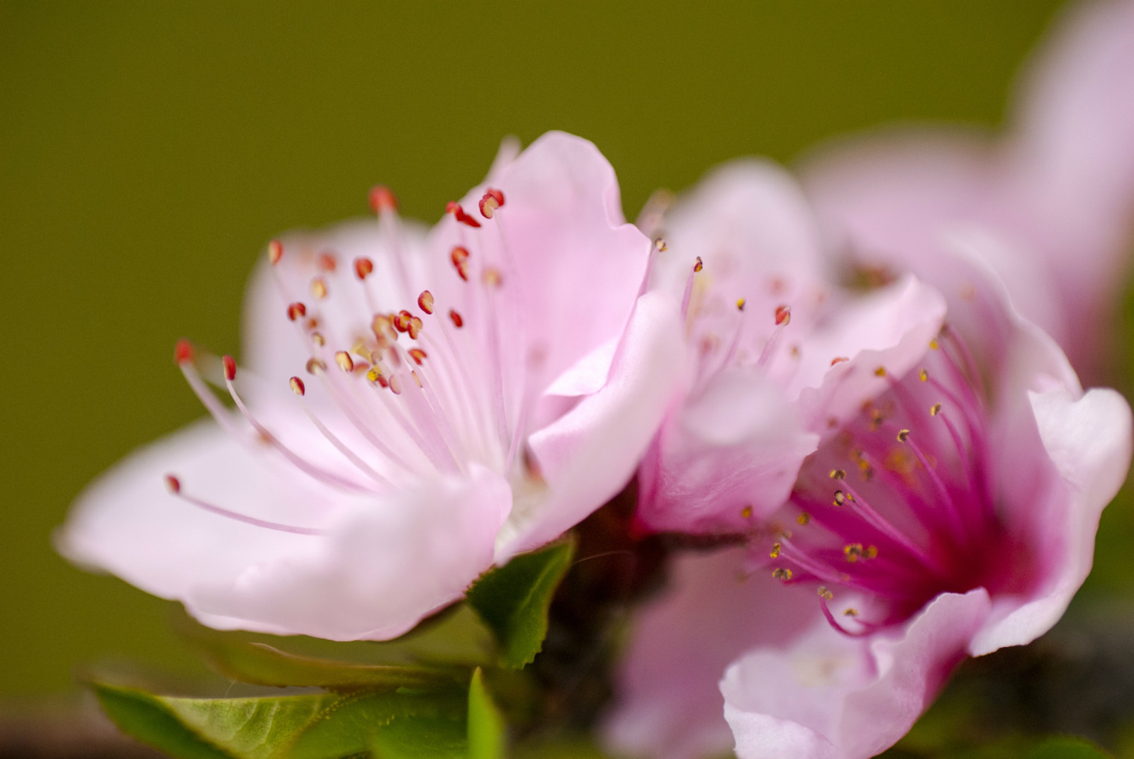 2345_image_file_copy_1