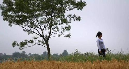 余秀华：一个人有很大的欲望却得不到，才能形成诗歌