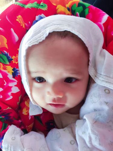 QQ图片20170722080118