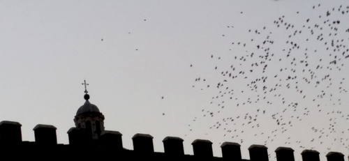 诗集《无尽的长眠有如忍耐》摄影插图之一       雪女摄