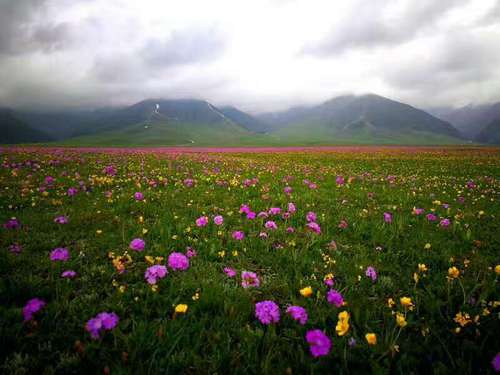 微信图片_20170814134059