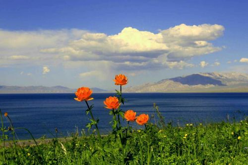 微信图片_20170814134106