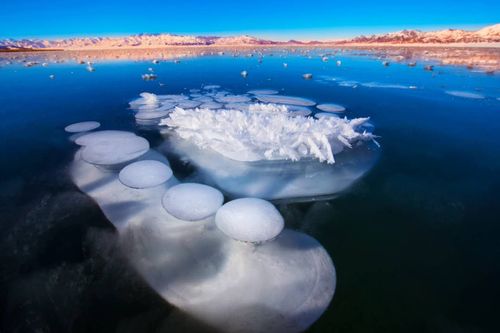 微信图片_20170814134102