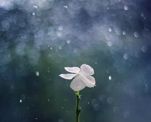 微信图片_20170823094111