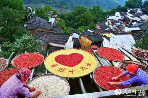 微信图片_20171025093656