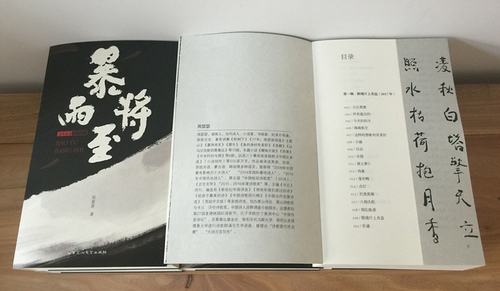 《暴雨将至》首页