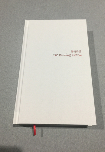 《暴雨将至》直背装内封