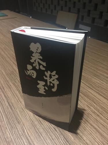 《暴雨将至》立体 (1)