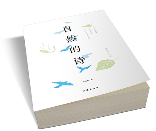 立体书效果图 6