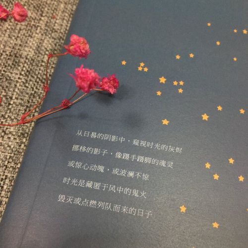 QQ图片20170831104451