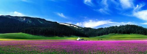 微信图片_20170814134117