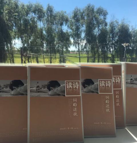 天问文化传播机构出版物：《读诗》2