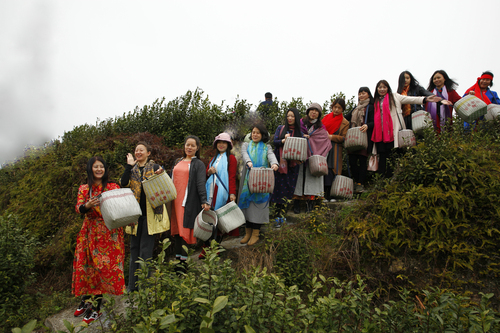 第二届女子诗会采风之一（2017年3月23日）