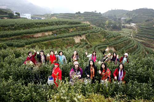 第二届女子诗会采风之二（2017年3月23日）