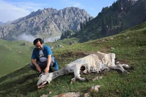 微信图片_20180321093057