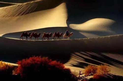 微信图片_20180322094252