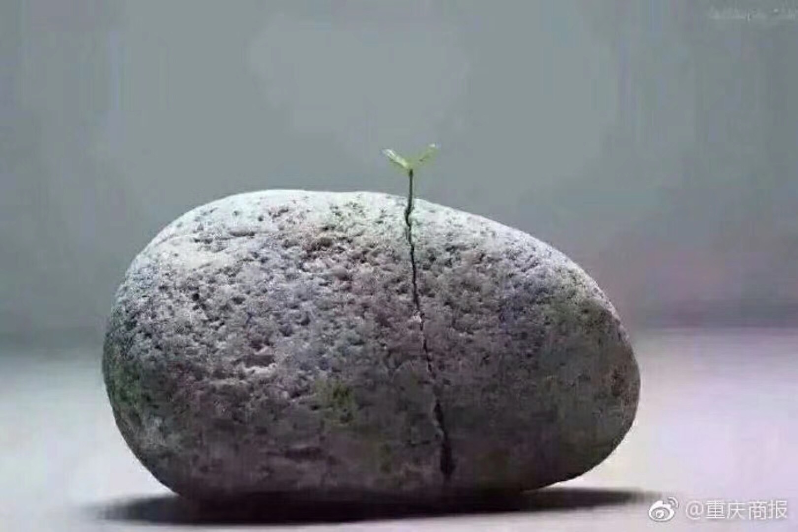 A2B58B7F-F55A-44AA-BB71-360082A8F87C