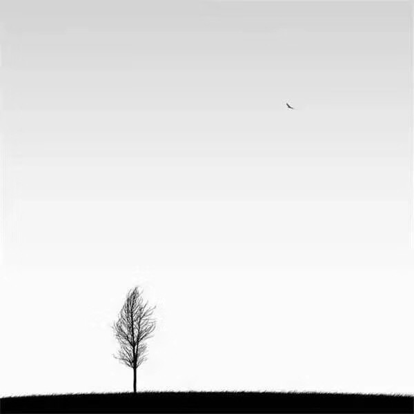 413B8BCC-B504-4C3F-8AA2-FC98CED2894F