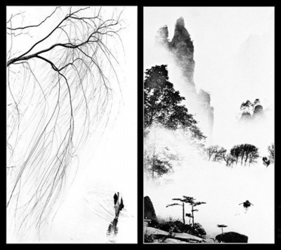 从诗情画意到情动影生 从诗情画意到情动影生