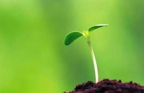 微信图片_20180828144947