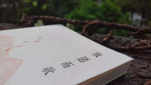 微信图片_20180906143553