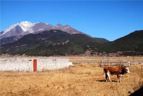 微信图片_20180910090459