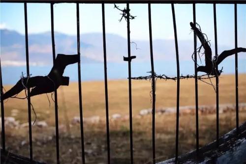 微信图片_20180910090443