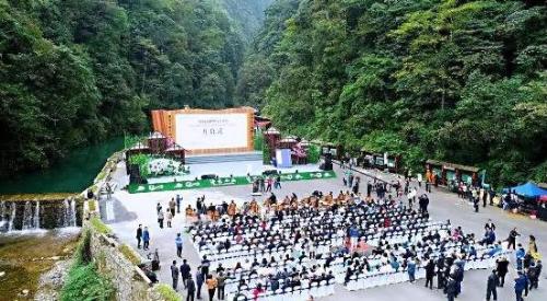 微信图片_20181012094602