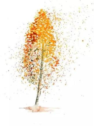 微信图片_20181018164925