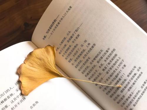 微信图片_20181122104311