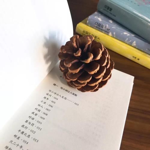 微信图片_20181122104314