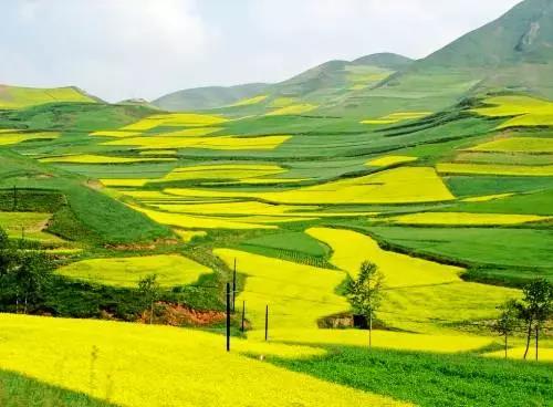 微信图片_20181218102937