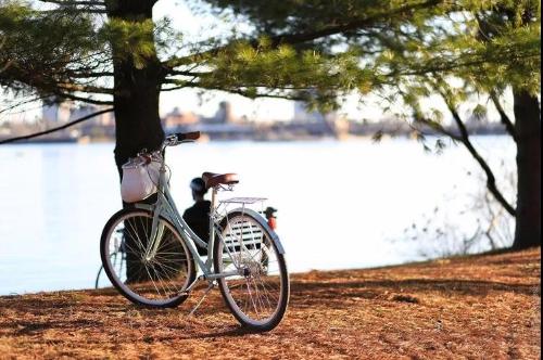 微信图片_20181221091932