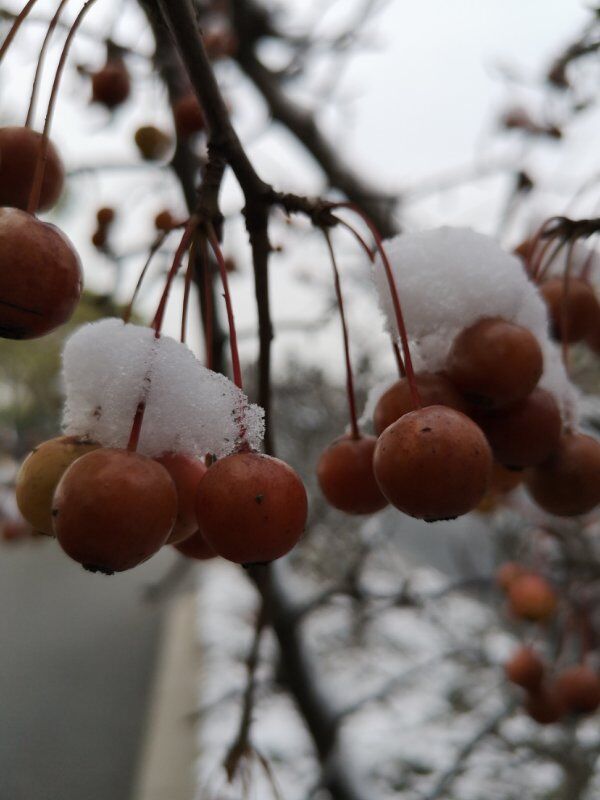 QQ图片20190102142738