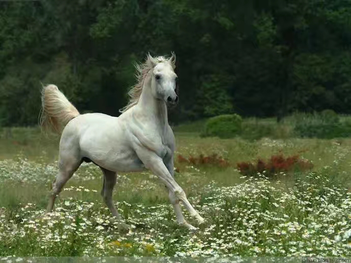 mmexport1547520511864