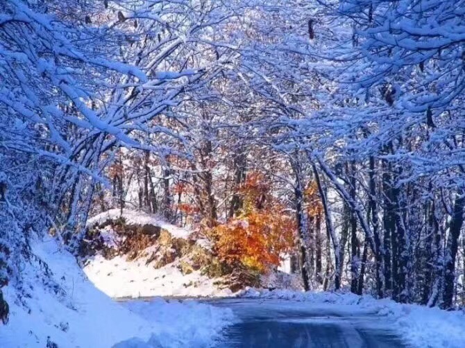 6D24931F-8C95-499D-A664-30F687DF3948