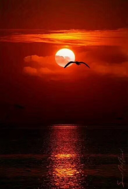 464ACA2F-1A3F-457C-B1D8-2AB7C4DFFC2F