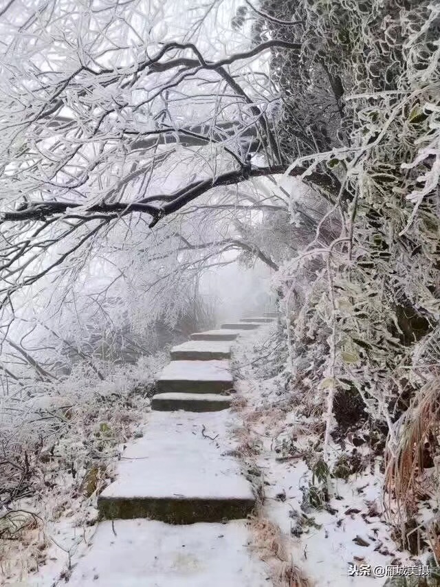 07F71A92-B9D9-4D26-AC37-C719F632A6E1