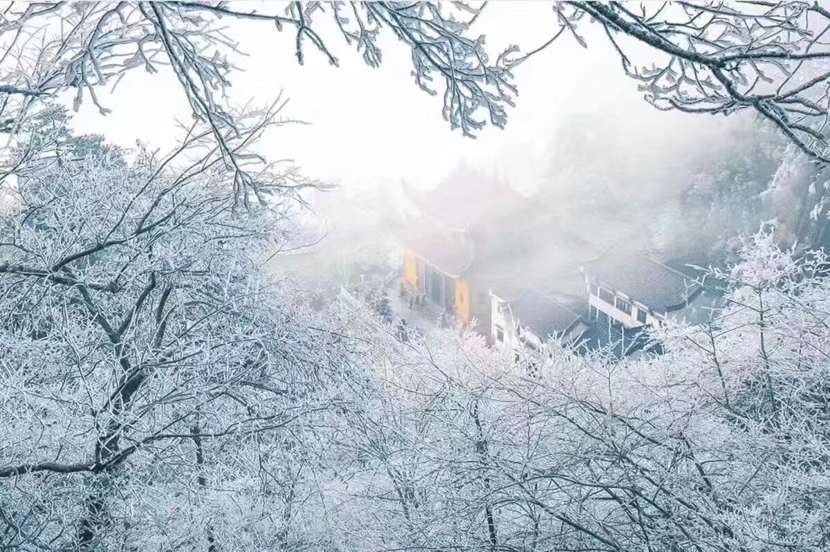 E46E37E9-93B7-4ED9-B5EB-7BB89622E42A