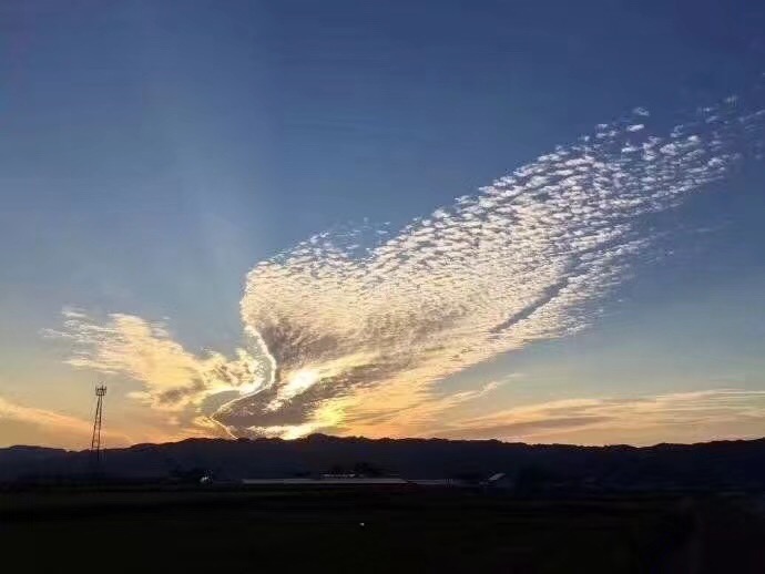 EB1A3C39-5CB5-4F67-BC14-874F2A12CACF