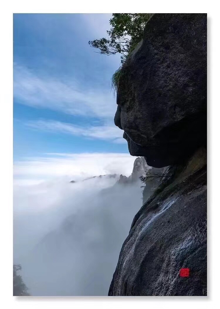 C94E7265-68E0-48E5-9AB3-42C3E12C5EE4