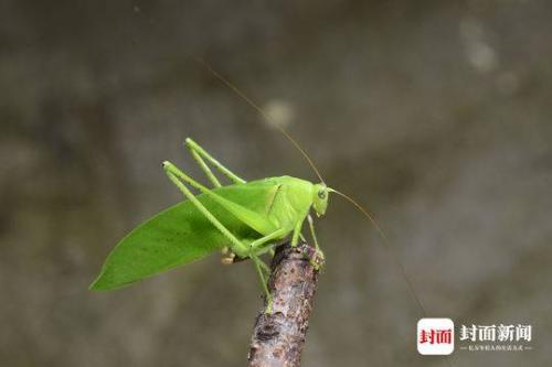 微信图片_20190220093157