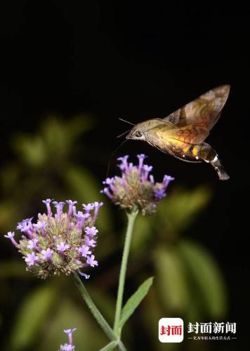 微信图片_20190220093205