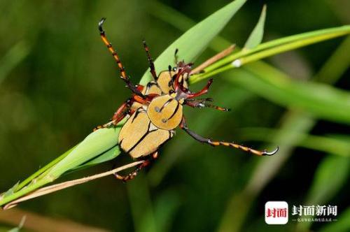 微信图片_20190220093209