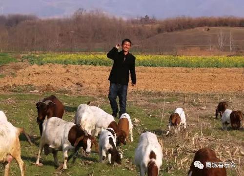 微信图片_20190319092337