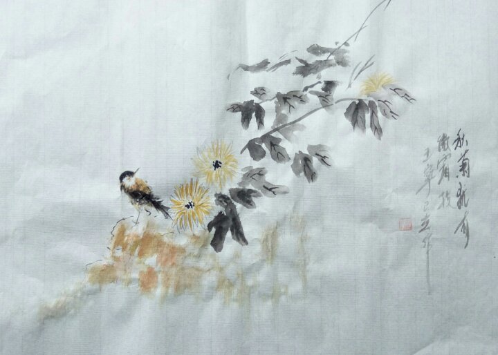 IMG_20190310_154230 IMG_20190310_154230