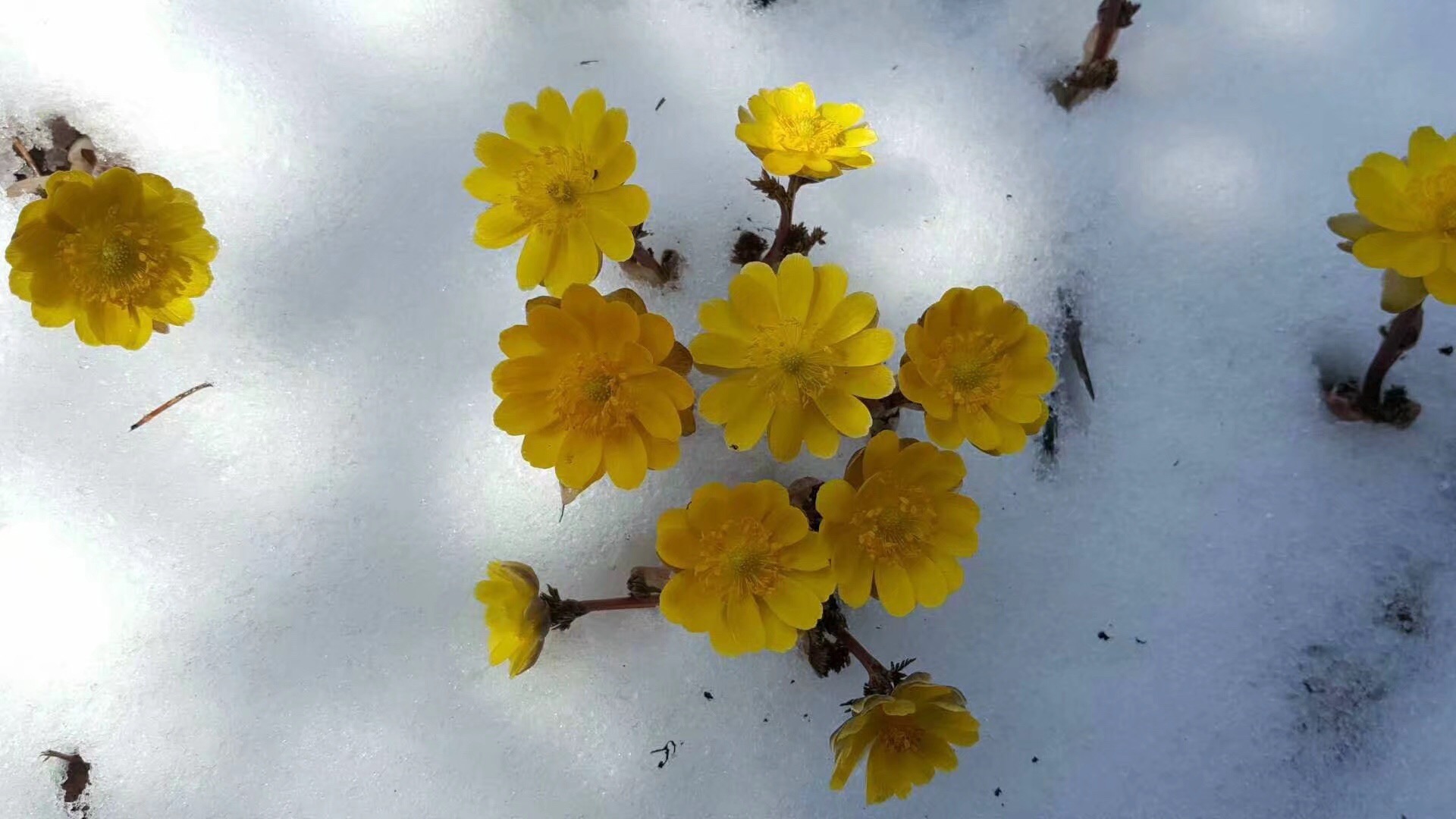 80957F9F-7D61-49D4-88C9-76A8485C256B