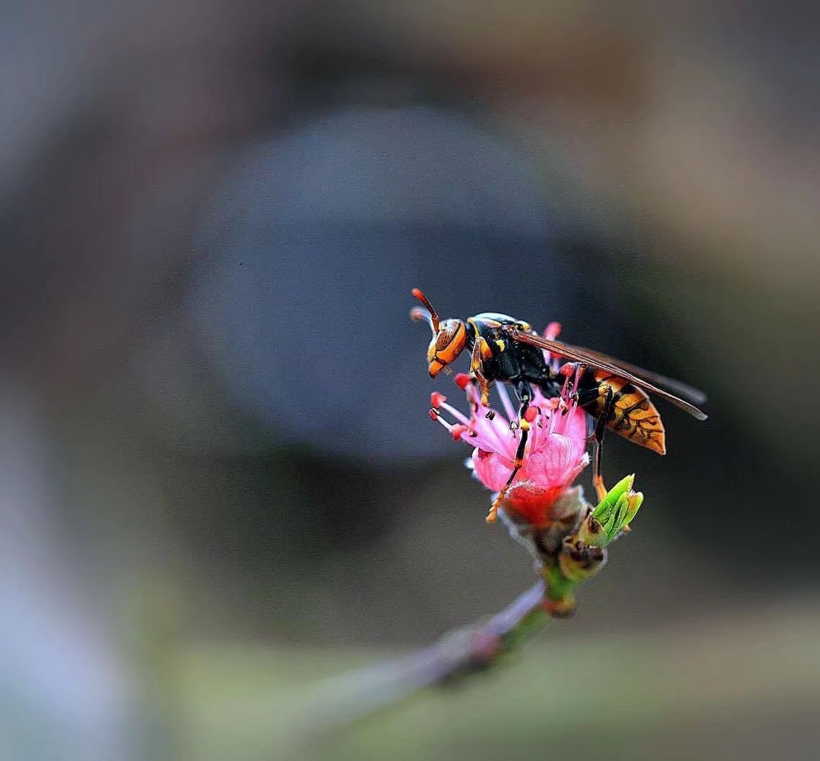 7405281A-3F06-4883-A20E-BE981C36A3B3