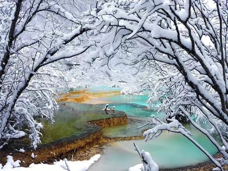 7E3CC68B-6129-4C9F-B89D-F757D47C01CF